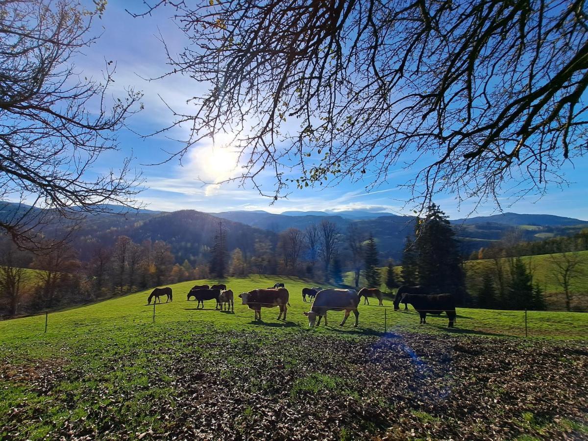 Erlebnisbauernhof Gutschi Ranch Lejlighed Kamp Eksteriør billede