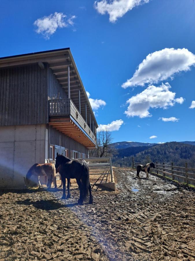 Erlebnisbauernhof Gutschi Ranch Lejlighed Kamp Eksteriør billede