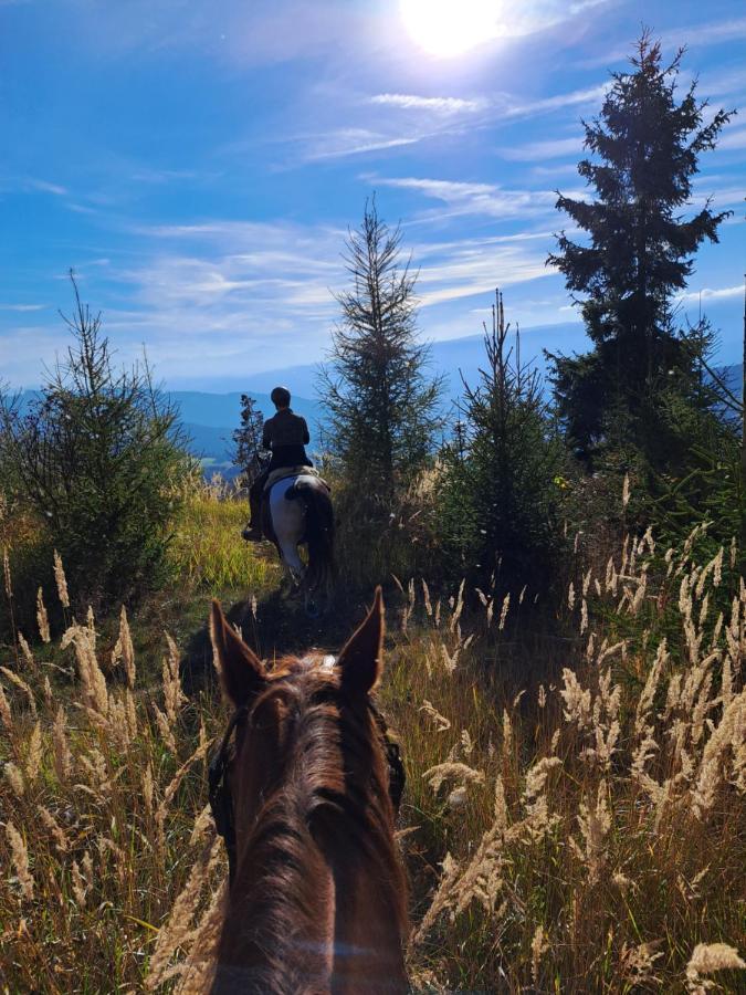 Erlebnisbauernhof Gutschi Ranch Lejlighed Kamp Eksteriør billede