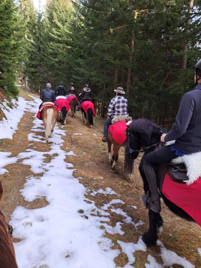 Erlebnisbauernhof Gutschi Ranch Lejlighed Kamp Eksteriør billede