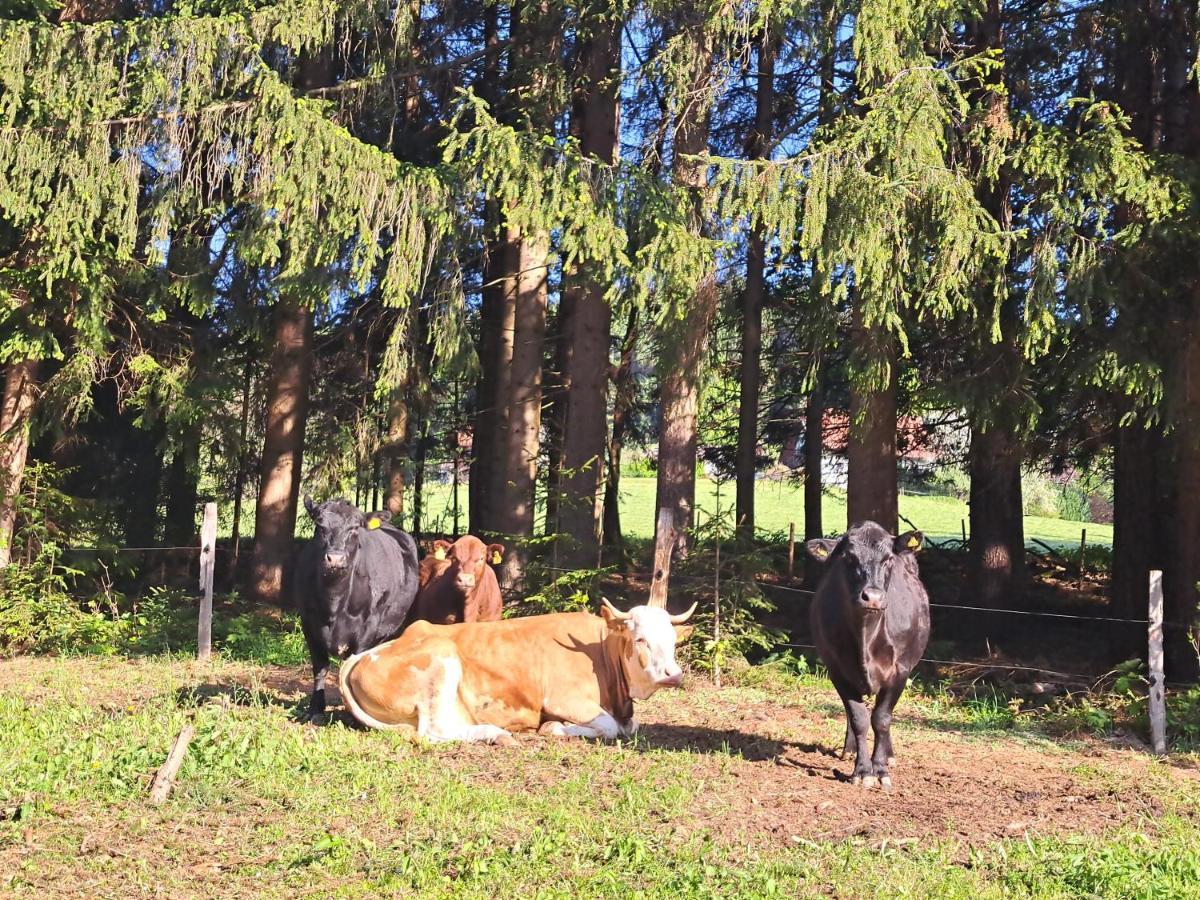 Erlebnisbauernhof Gutschi Ranch Lejlighed Kamp Eksteriør billede